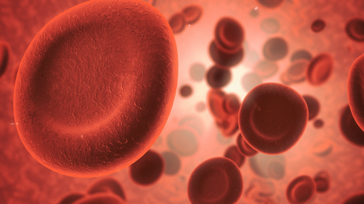 Mastering Anticoagulation: Principles and Practices for Effective Patient Management | Conditions of the Older Adult