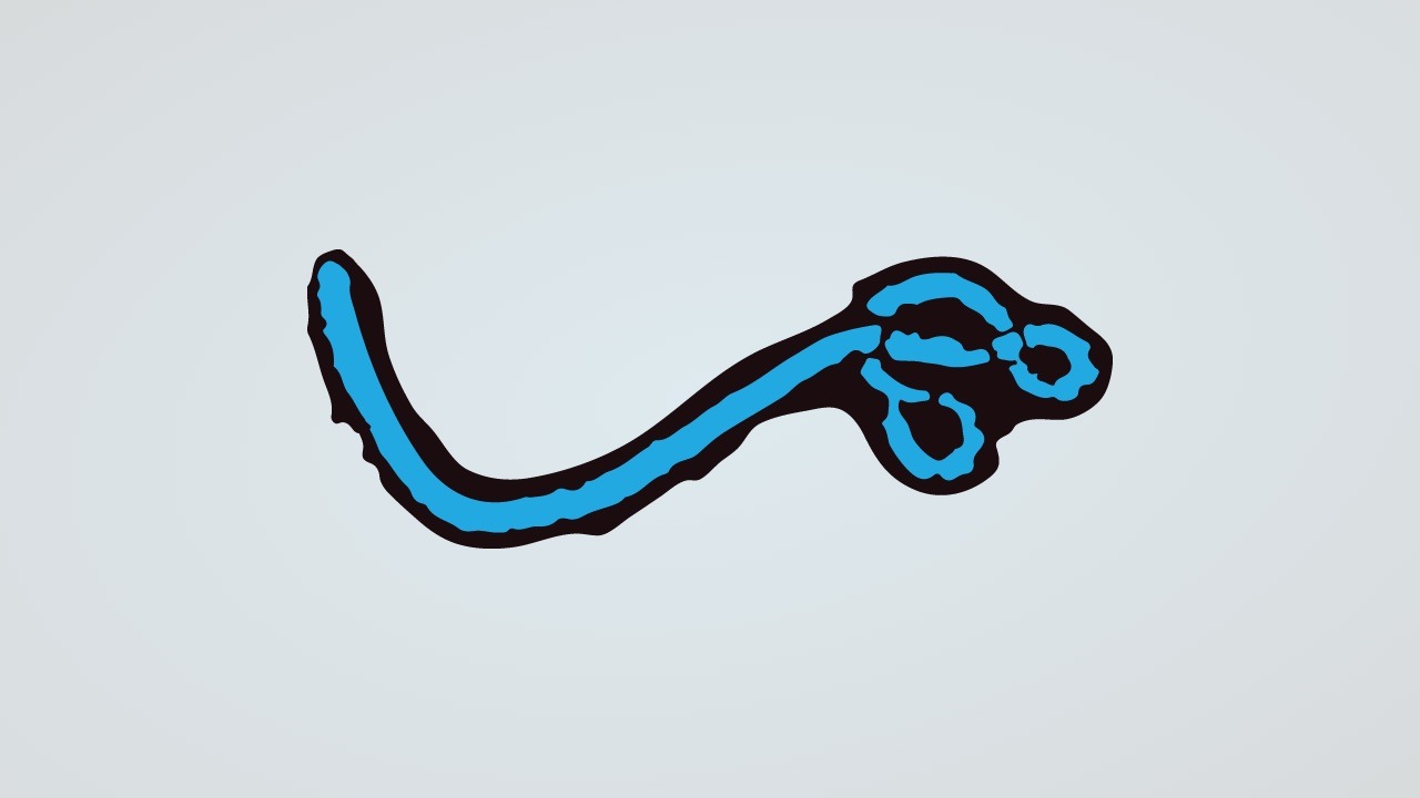 Communicable diseases (Ebola, Enterovirus D68, MERS-CoV)